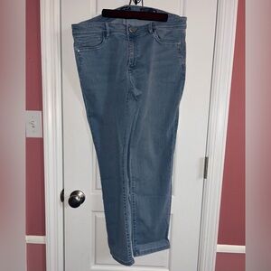 J. Jill Denim Authentic Fit Slim Ankle Jeans